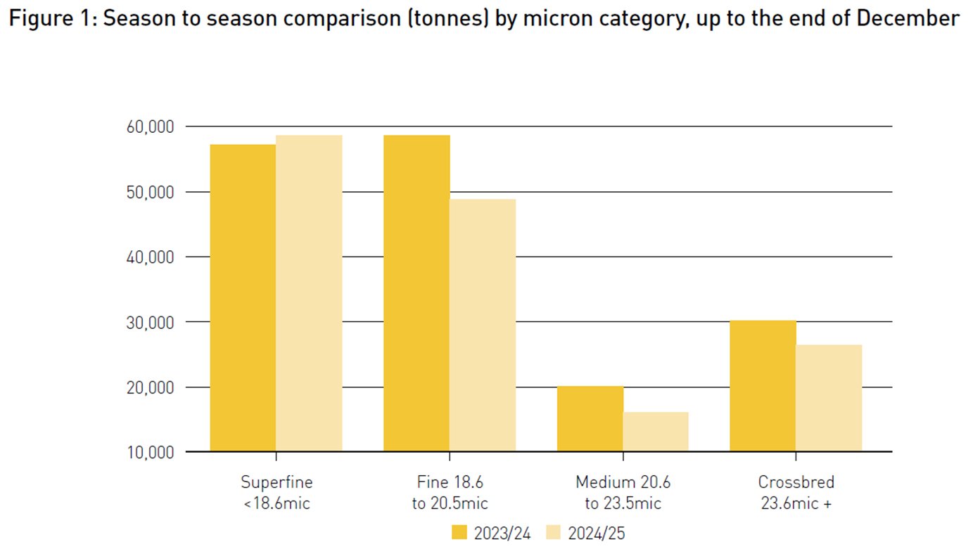 season to season comparison by micron