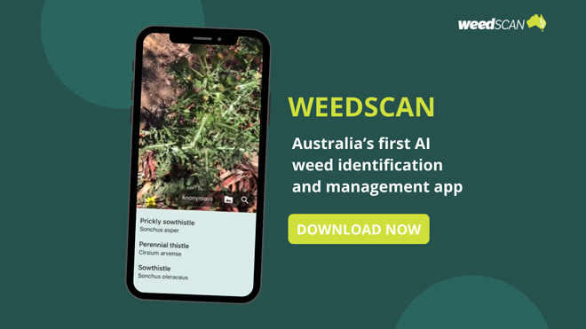 weedscan-inline1.jpg