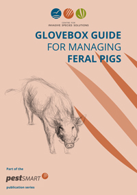 CISS-Glovebox-Guide-Pig-web-1.jpg