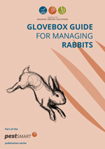 CISS-Glovebox-Guide-Rabbit-web-1.jpg