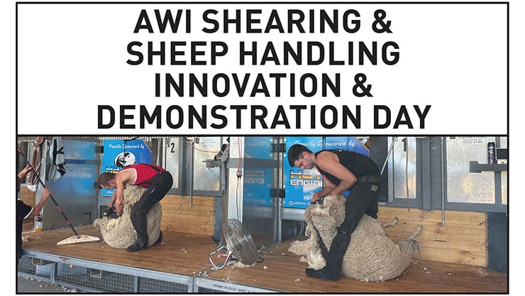 AWI Shearing & Sheep Handling Innovation & Demonstration Day