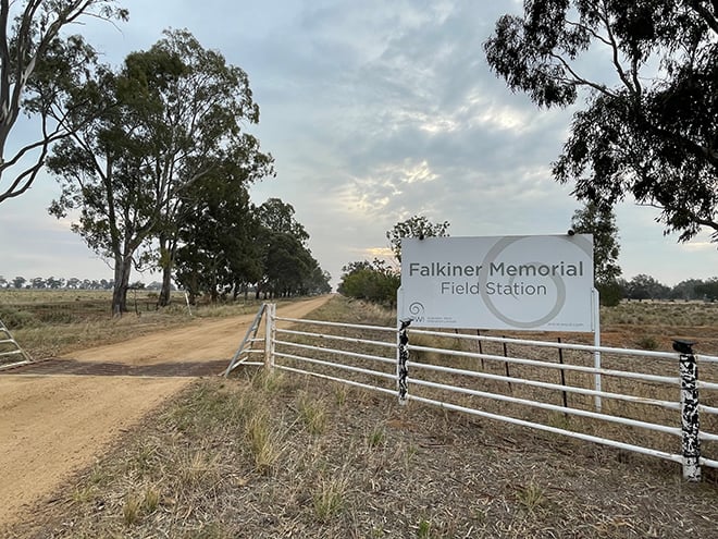 Falkiner Memorial Field Station