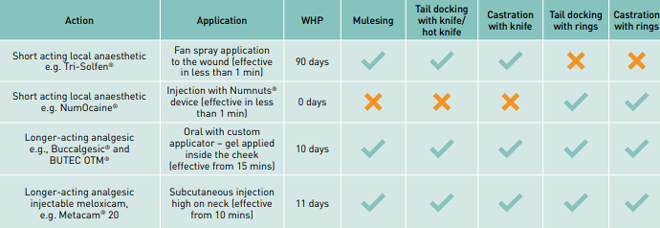 m2-t7-pain-relief-table-V3.png