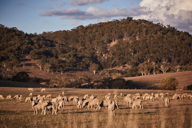 targeting methane abatement on farm