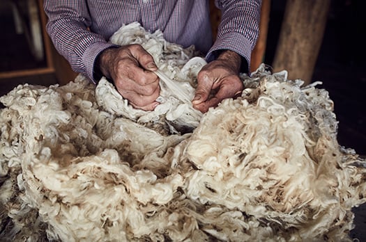 Wool and Health and Environment Research | Australian Wool Innovation