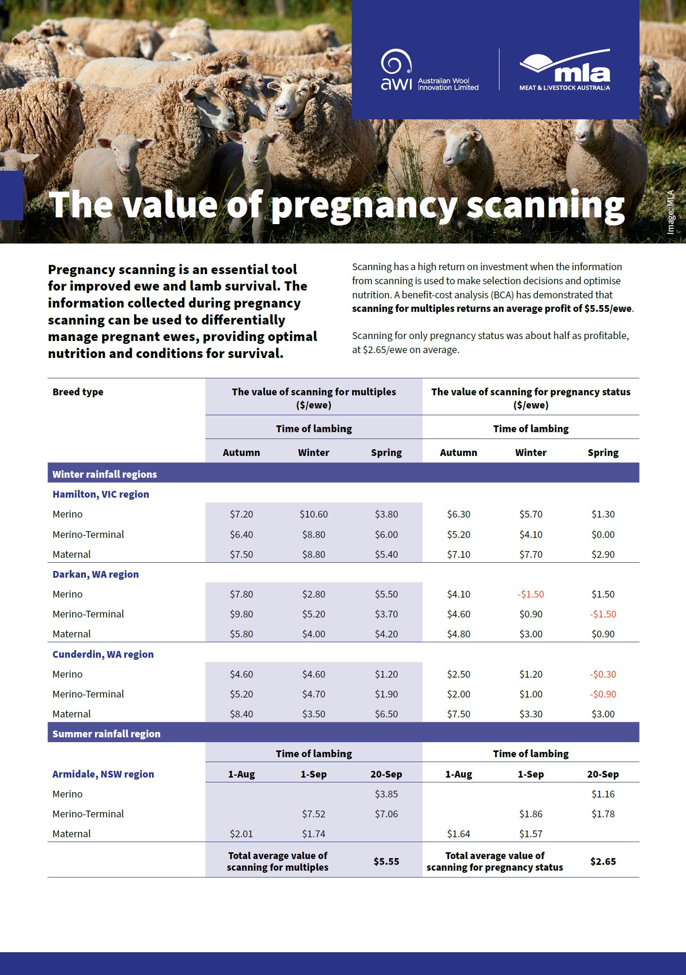 AWI MLA Value of preg scanning.jpg