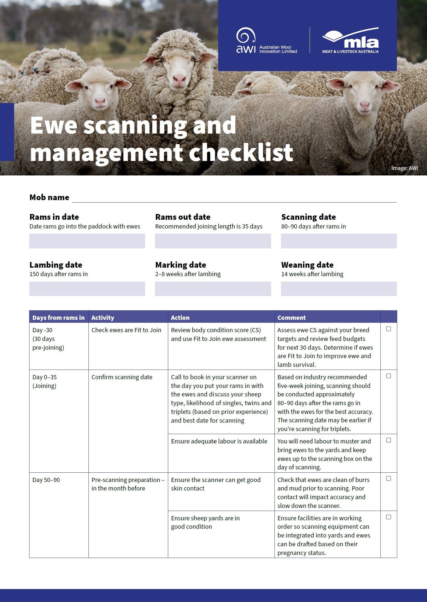 Ewe Scanning Checklist