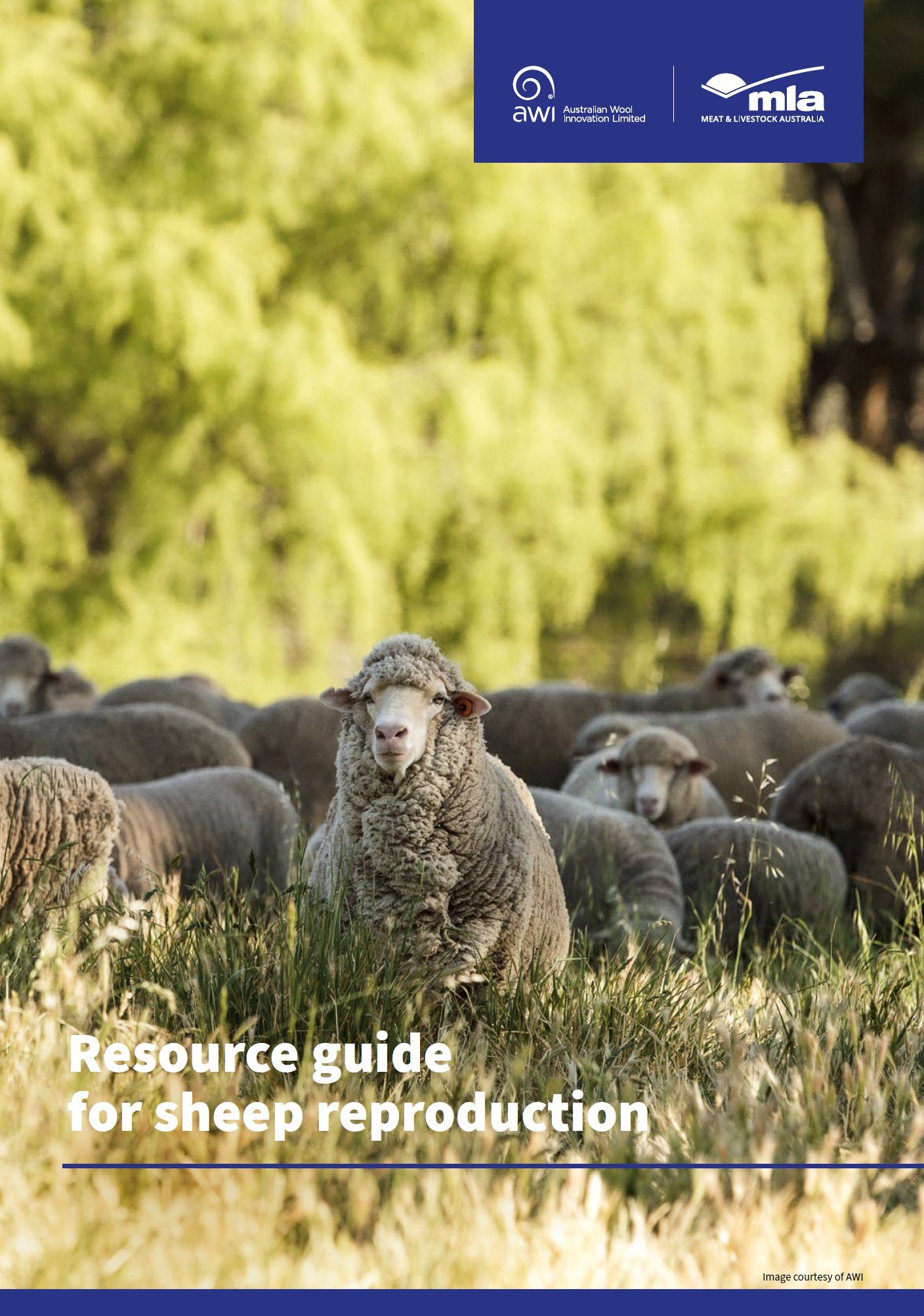 Resource guide for sheep reproduction